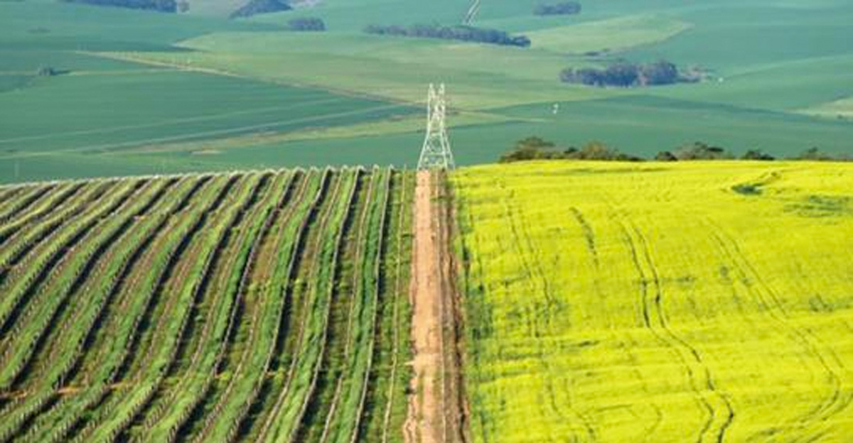 24 Hours to Have Your Say on 'Land Expropriation' What Does It Mean