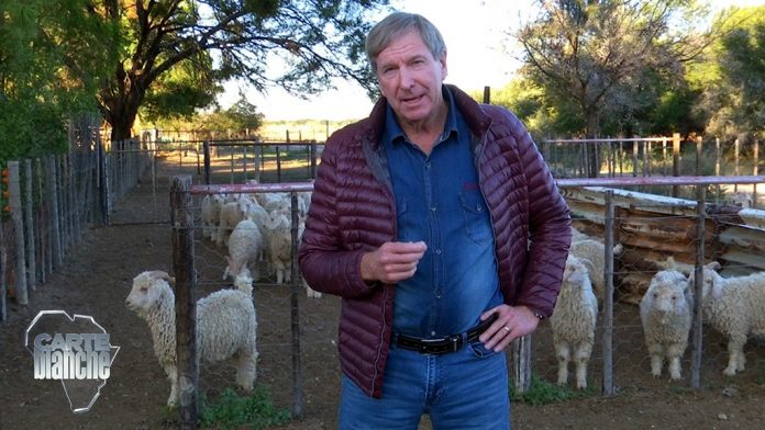 mohair 1