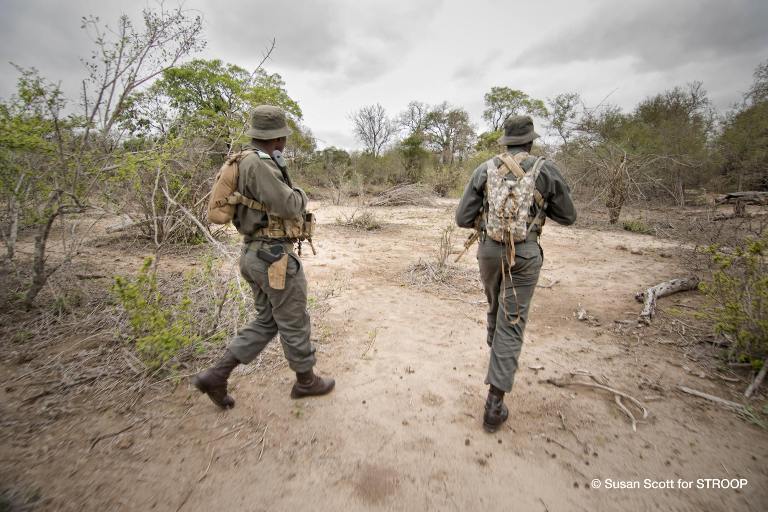 sanparks field rangers