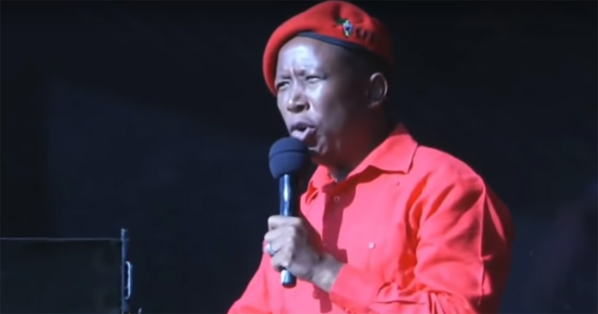 Julius Malema: South Africa Doesn't Belong to the Motsepe ...