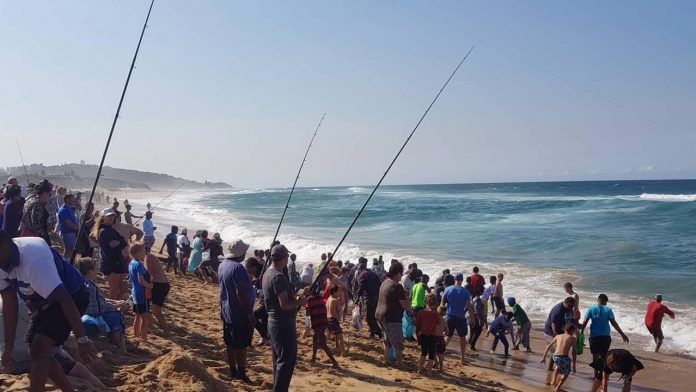 sardine-fishermen-th