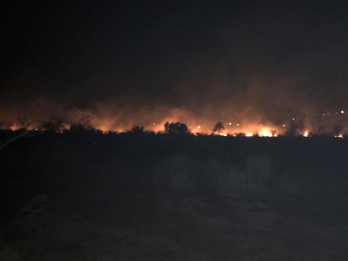 Post Praising Afrikaans Neighbours for Dousing Fire Spreads Like Wildfire SAPeople Worldwide