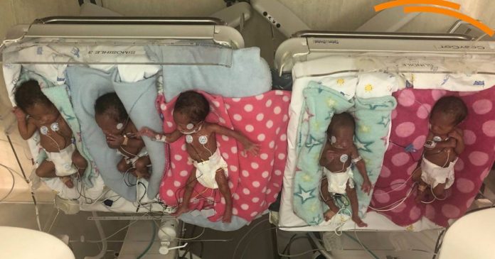 buthelezi-quintuplets