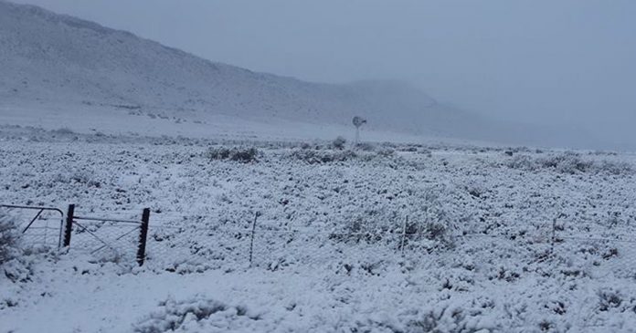 snow-sa-th