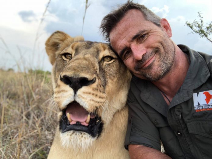 kevin richardson lion whisperer south africa kevin richardson lion whisperer south africa
