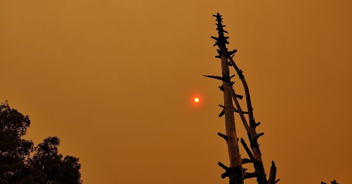 garden-route-fire