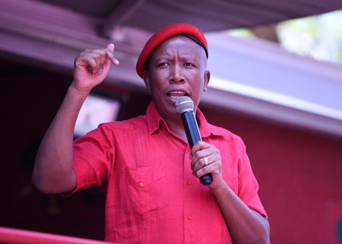 julius-malema-eff