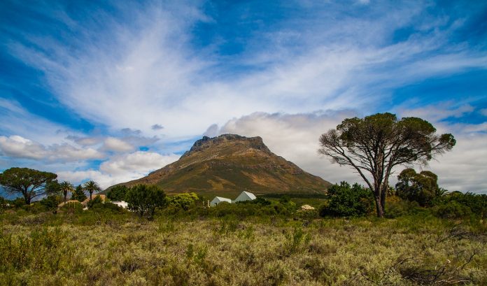 stellenbosch-1855064_1280-pix