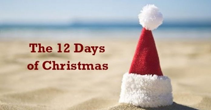 WATCH 12 Days of Christmas - A Proudly South African Xmas Carol - SAPeople  - Worldwide South African News