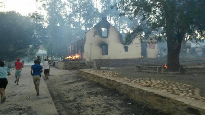 cederburg8