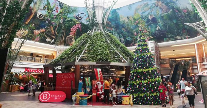 sun-city-xmas-th