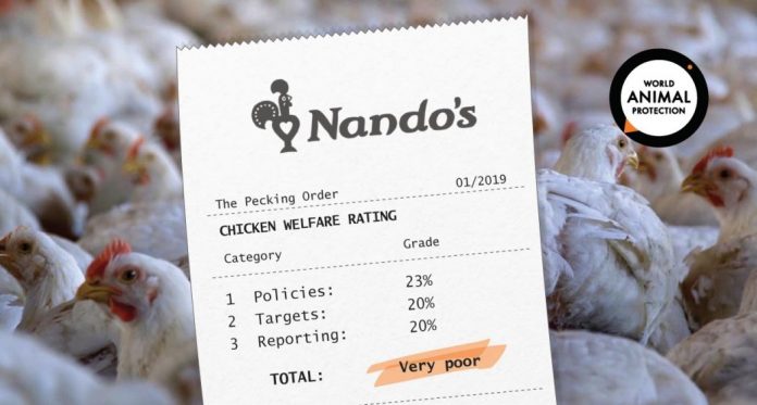 wap18_twitter_nandos