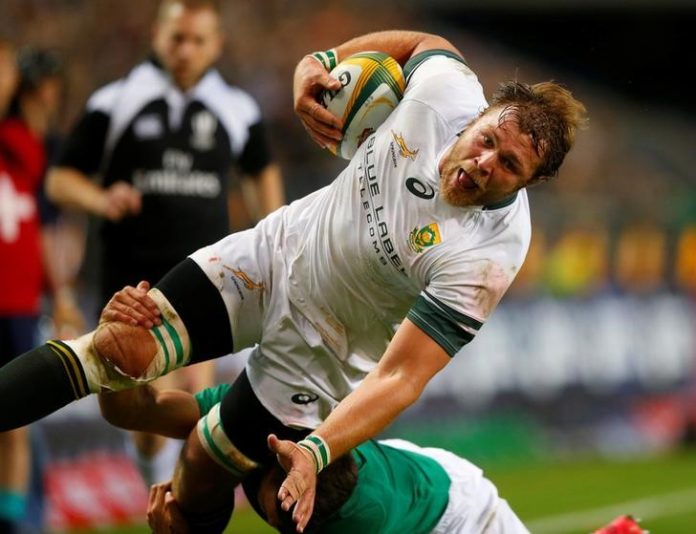 Ireland v South Africa - Rugby Test