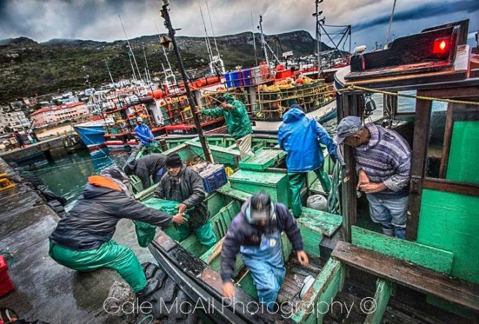 kalk bay 13