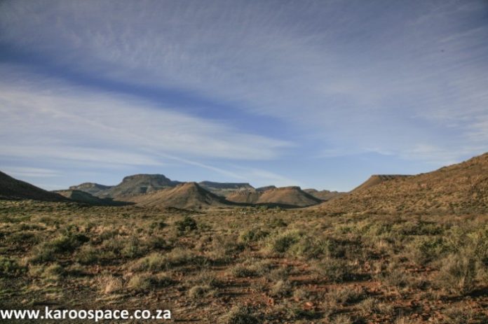 lolion0006-700x466