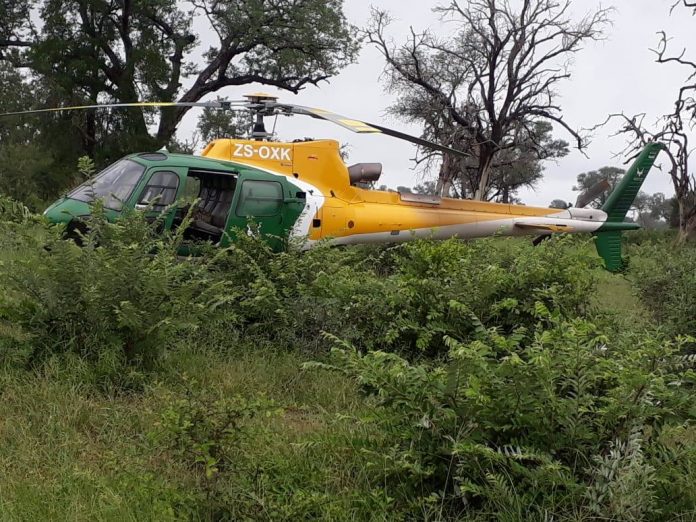 rhino-poaching-suspects-arrested