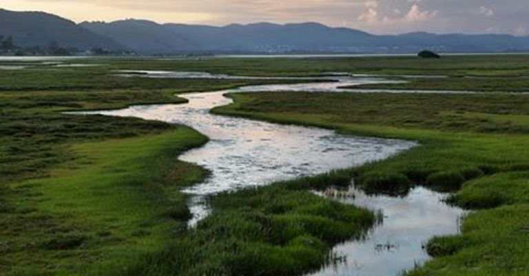 Protect sa s wetlands sapeople worldwide south african news