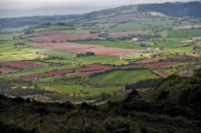 south-african-land-reform-sanews