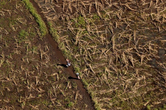 2019-04-01T124755Z_1_LYNXNPEF301YO_RTROPTP_4_AFRICA-CYCLONE-FARMERS