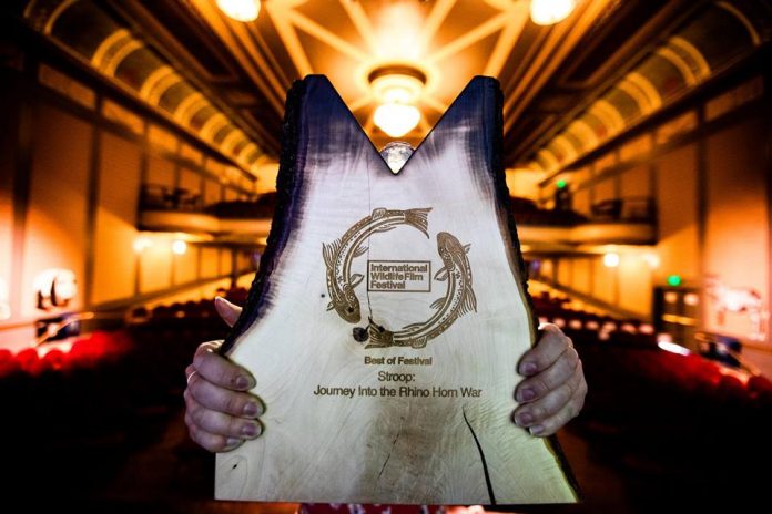 Best of Festival IWFF Award