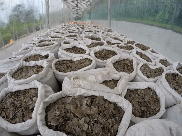 Pangolin scales that were seized by Singapore Customs and National Parks Board are pictured in Singapore
