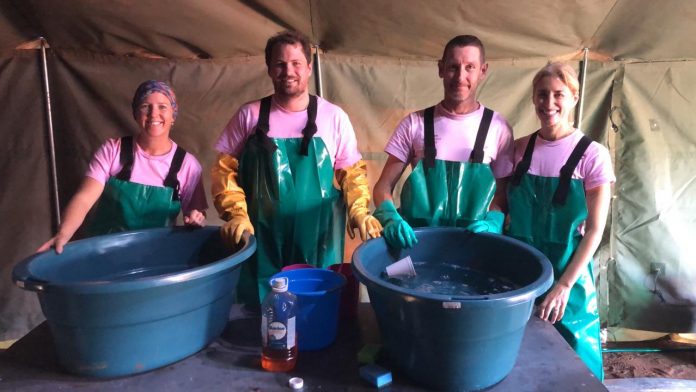volunteers washing flamingo birds