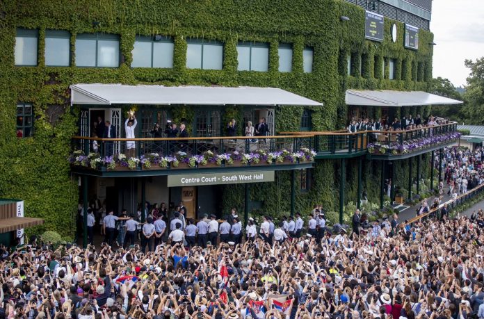 djokovic winner