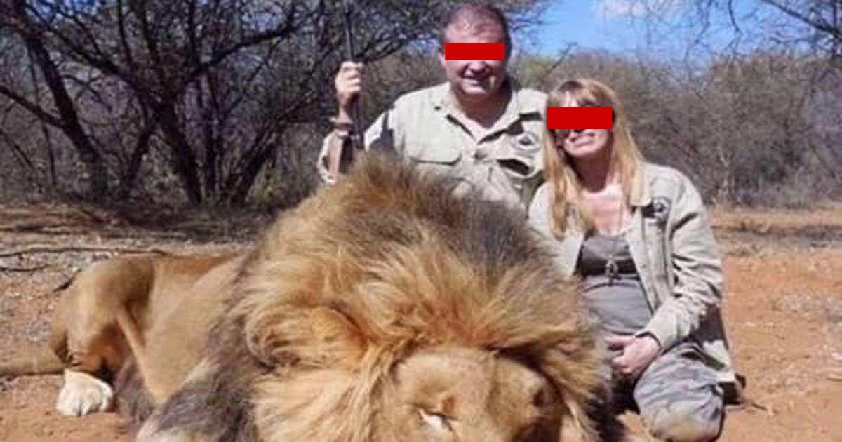 French Couple Forced to Resign After Hunting Safari in South Africa and Tanzania - SAPeople - Your Worldwide South African Community