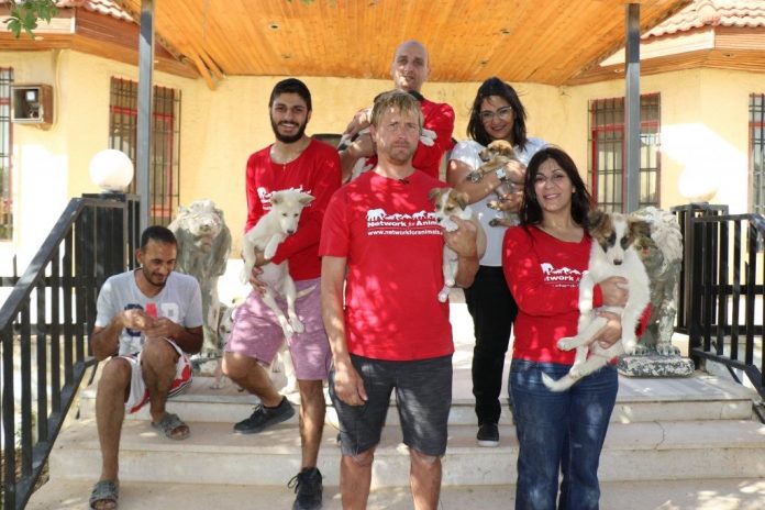 Animal Rights Campaigner from South Africa Assaulted while Filming