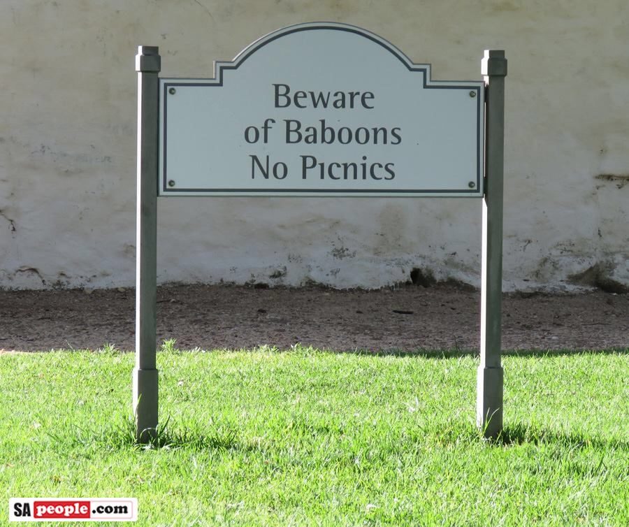 Beware of Baboons