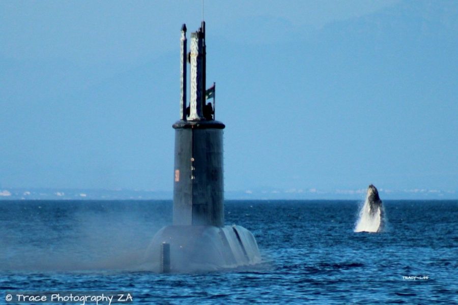 PHOTOS Giant Humpback Whale Surprises Submarine in Simon's Town, South