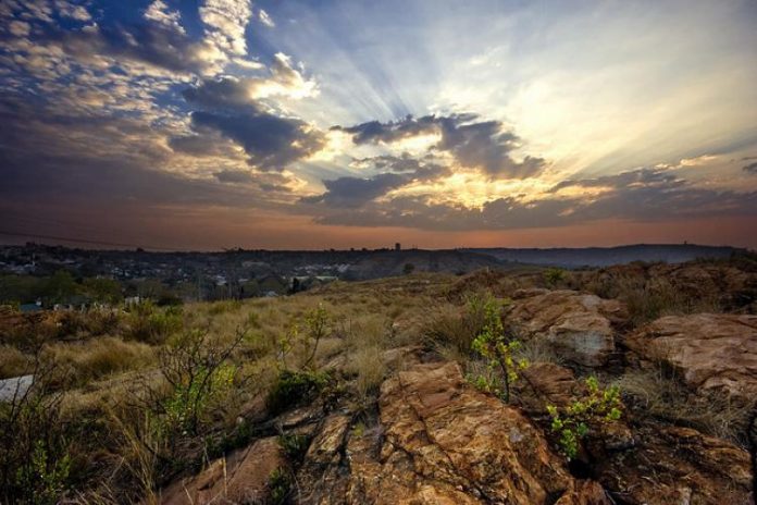 south african suburb one of coolest neighbourhoods in the world