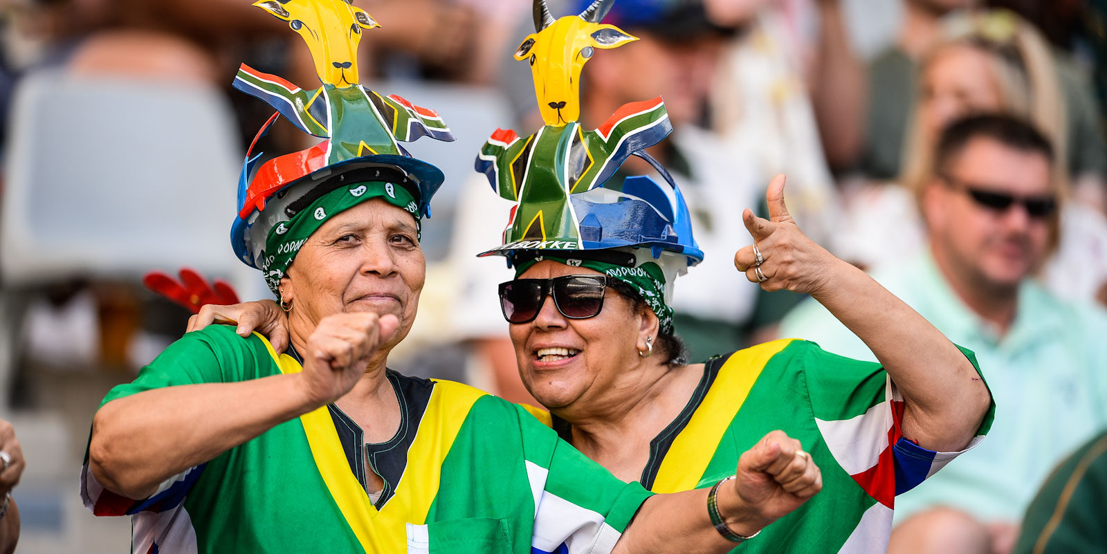 Cape Town rugby Sevens fans 2