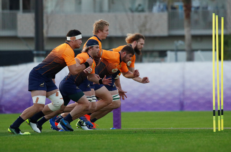 Rugby World Cup - South Africa Training springboks