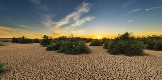 drought karoo south africa