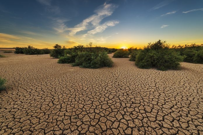 drought karoo south africa drought karoo south africa