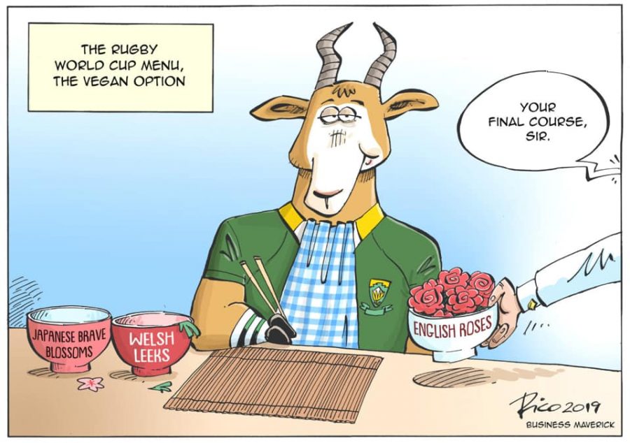 Springbok and rugby world cup 2019 jokes and memes sapeople