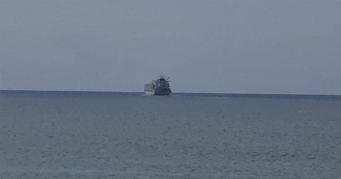 ship-south-african-sheep