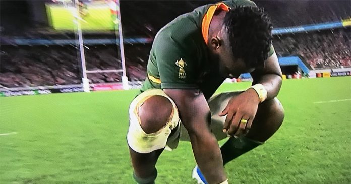 siya-kolisi-south-african-rugby-springboks-captain Siya Kolisi south african springbok rugby captain