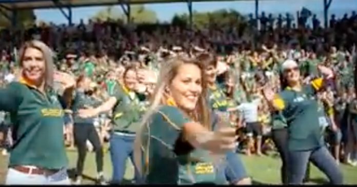 south-african-schools-springbok-videos south-african-schools-springbok-videos