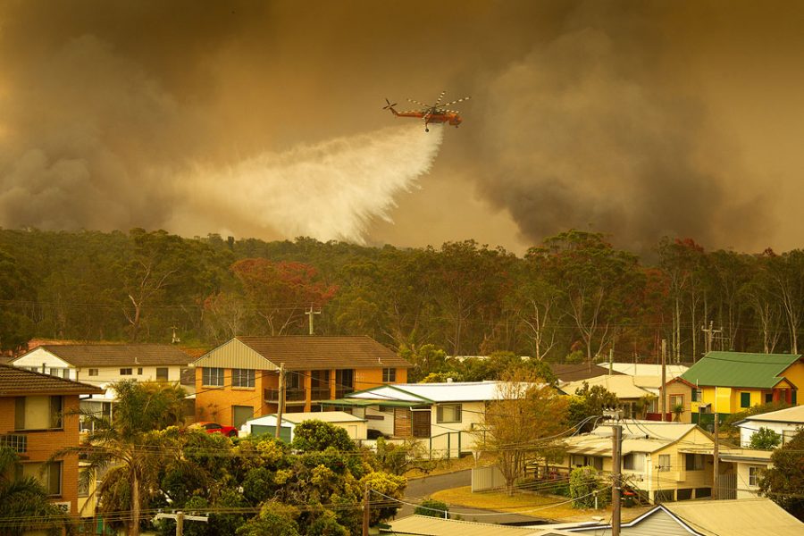 AUSTRALIAN FIRES