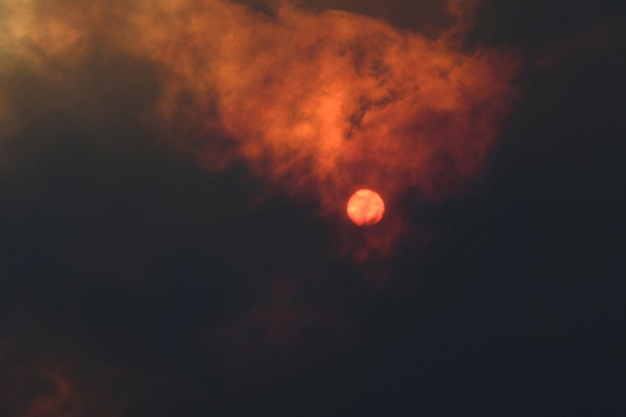 AUSTRALIAN FIRES