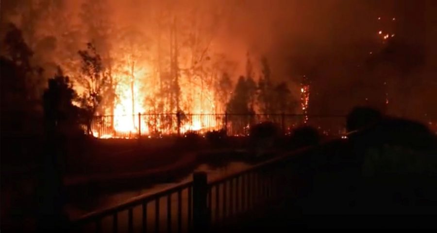 Firefighters look as a fire rages on in Rainbow Flat, New South Wales, Australia