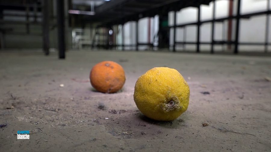 Carte Blanche KZN Citrus Farm's Future in Jeopardy After Murder and