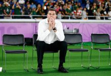 Rugby Championship Rassie Erasmus Springboks