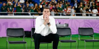 Rugby Championship Rassie Erasmus Springboks