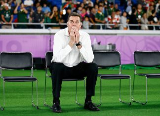 Rugby Championship Rassie Erasmus Springboks