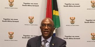 auditor general south africa