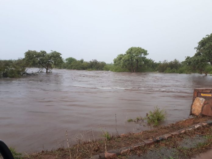 kruger park rains kruger park rains