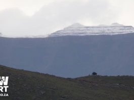snow-south-africa-november